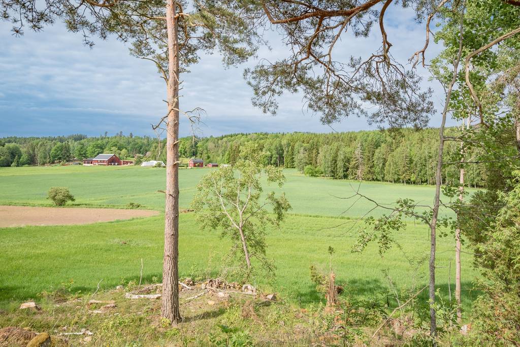 Ölmstad, 563 93 Gränna - Bild 5